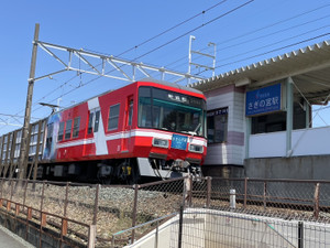 Photo_2